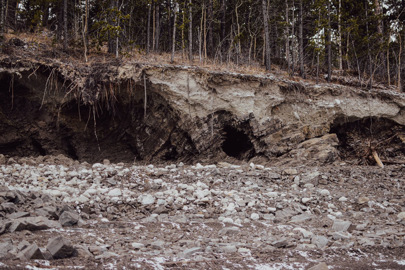 Gallery: exposed riverbank and rock face